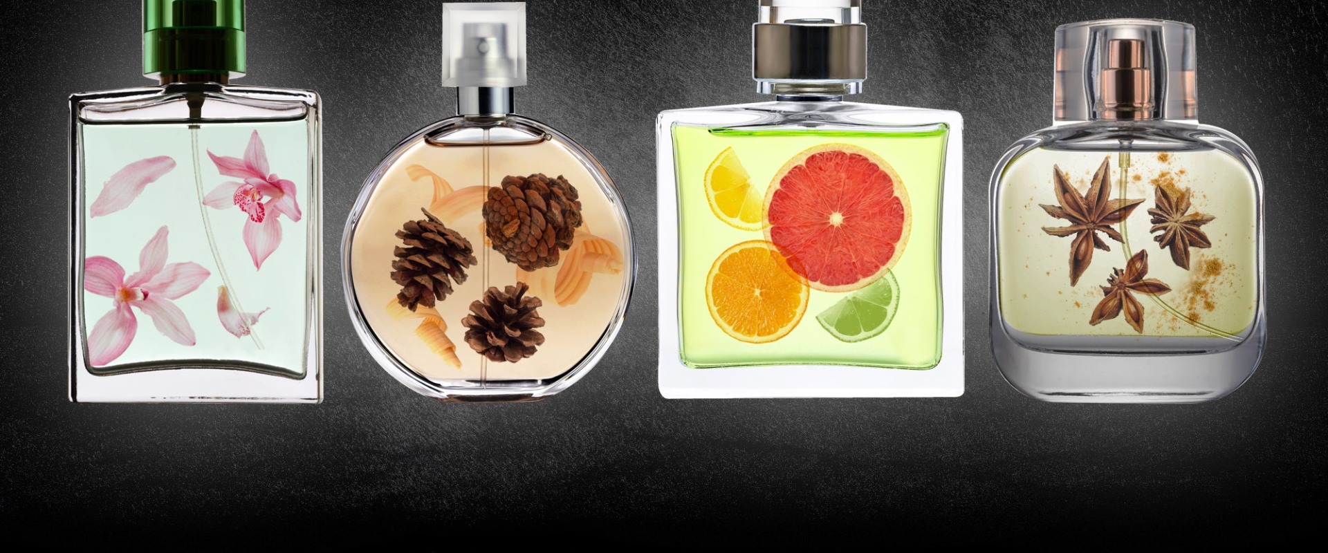 Everything You Need to Know About Woody Scents