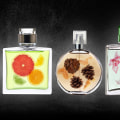 Everything You Need to Know About Woody Scents
